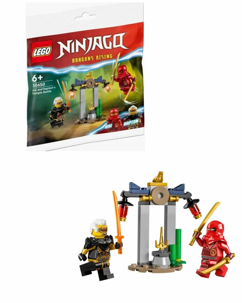 LEGO® Ninjago 30650 Bitva Kaie a Raptona v chrámu
