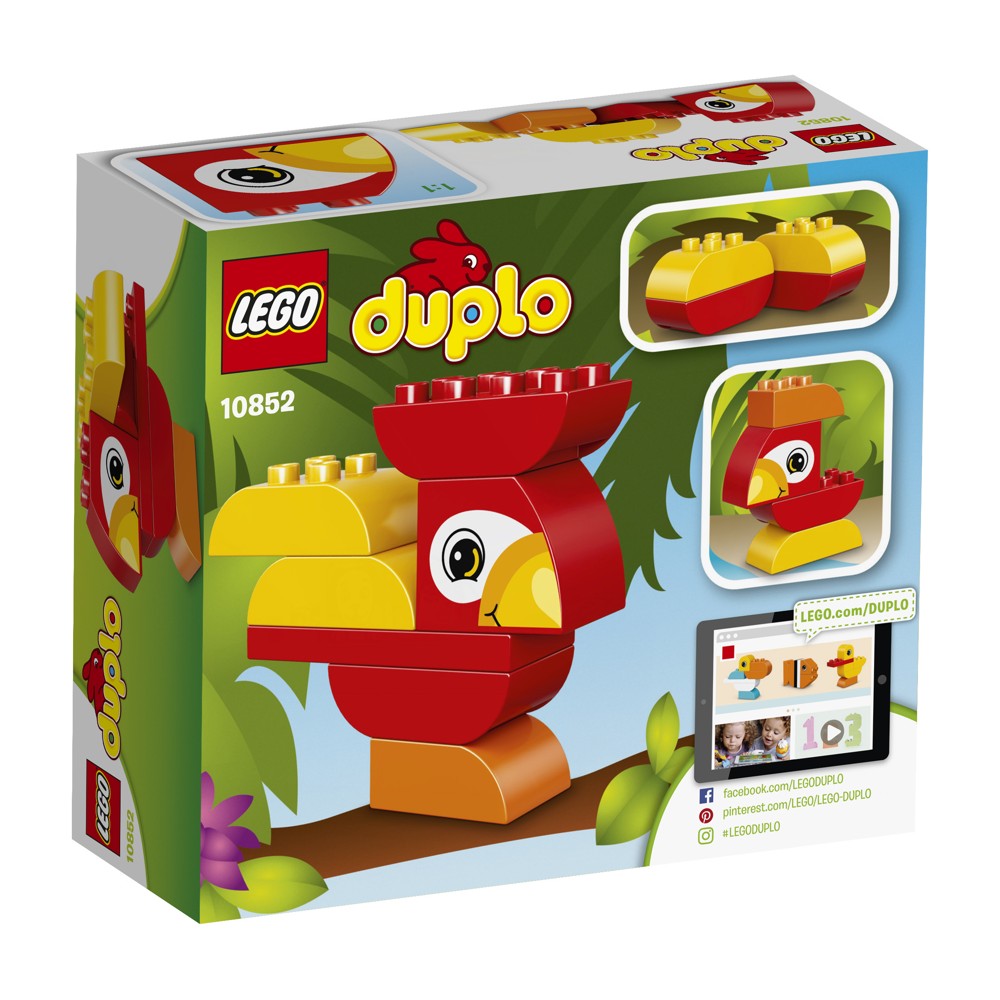 10852, Můj první papoušek