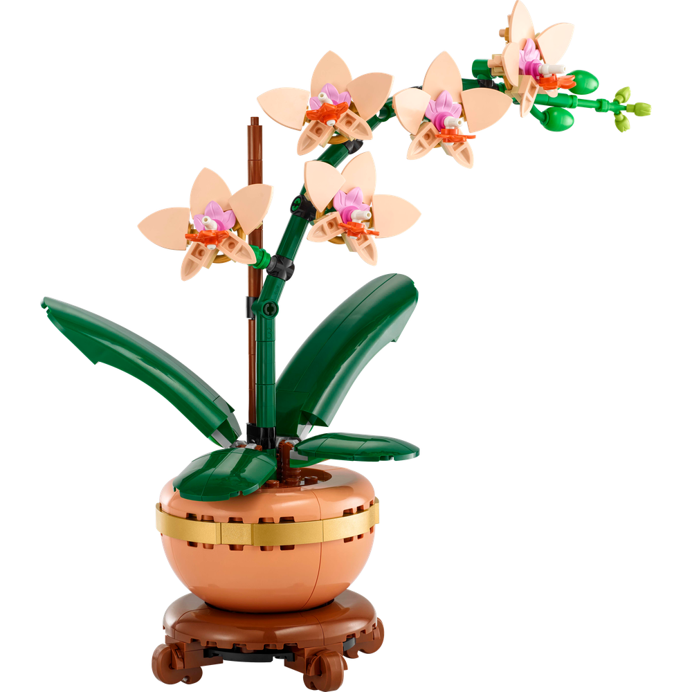 LEGO® Botanicals 10343 Miniaturní orchidej