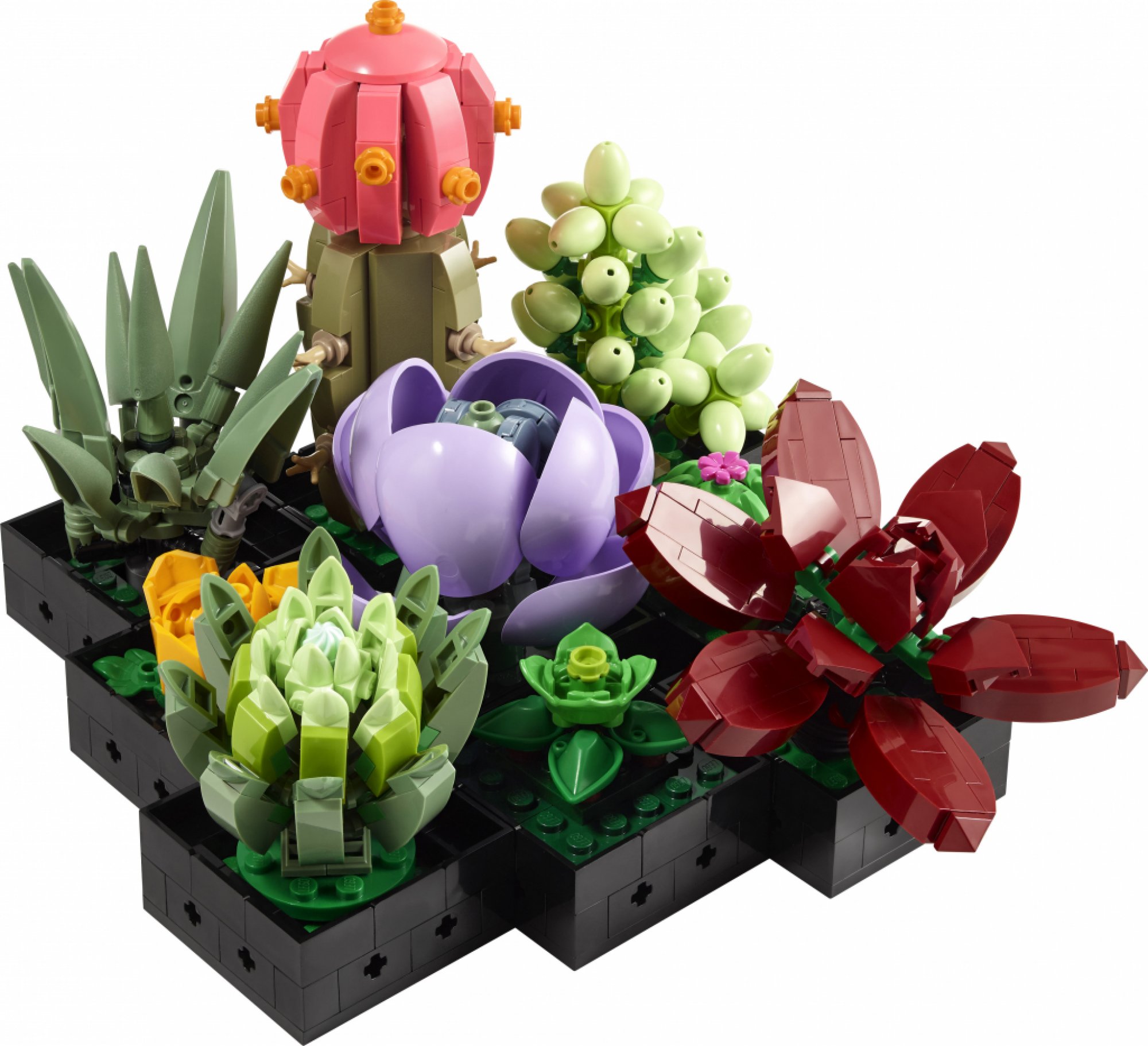 LEGO Creator Expert 10309 Sukulenty