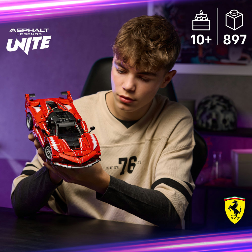 Stavebnice LEGO® Technic 42212 Ferrari FXX K