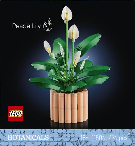 LEGO® Botanicals 11504 Lopatkovec