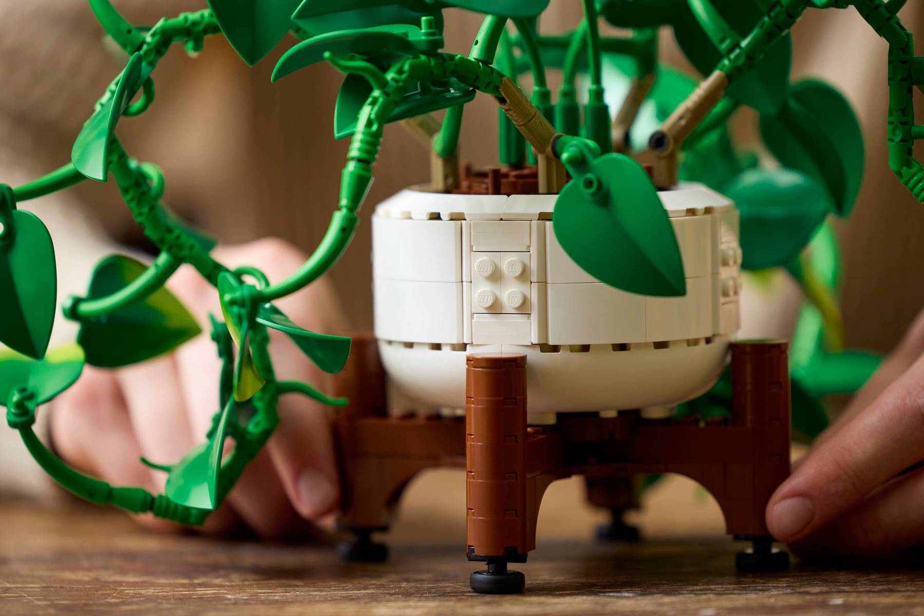LEGO® Botanicals 11512 Závěsná šplhavnice zlatá