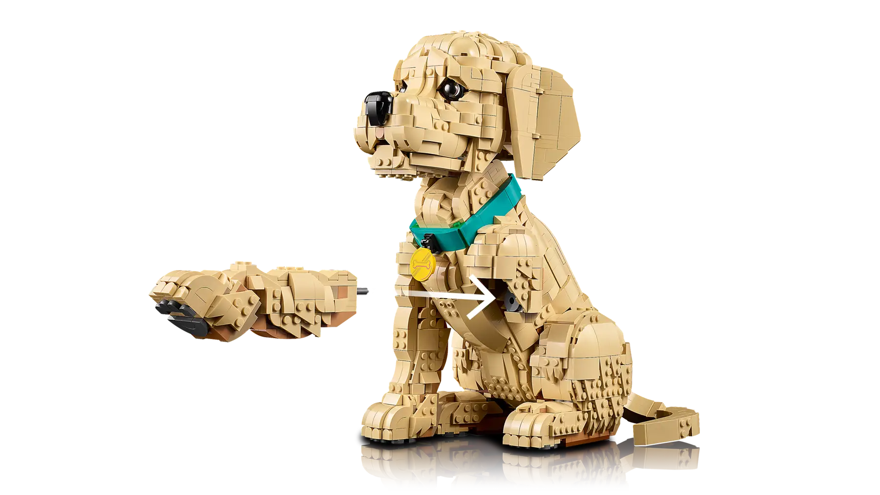 LEGO® Icons 11384 Štěně zlatého retrívra