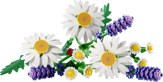 LEGO® Botanicals 11508 Kopretiny