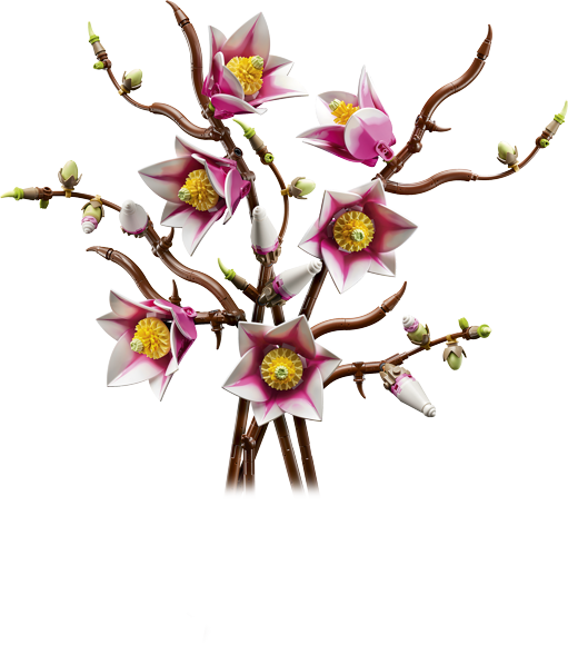 LEGO® Botanicals 11510 Větvičky magnólie