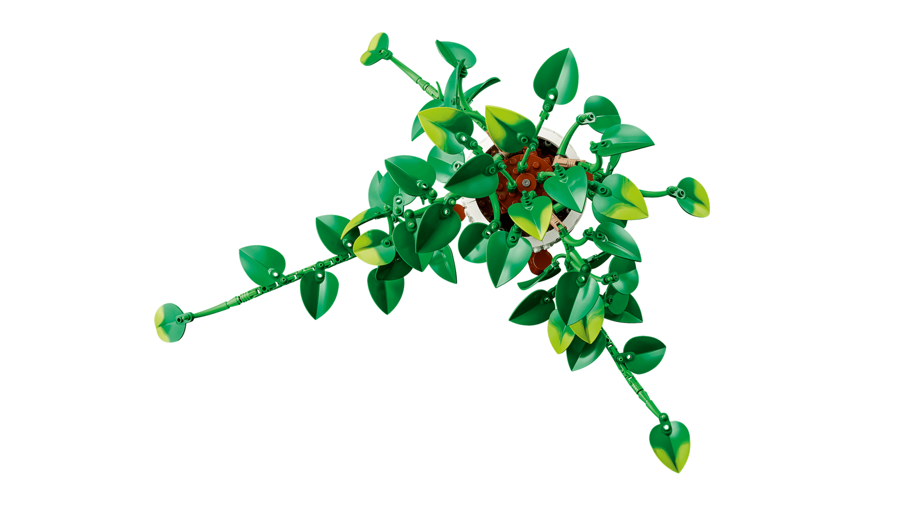 LEGO® Botanicals 11512 Závěsná šplhavnice zlatá