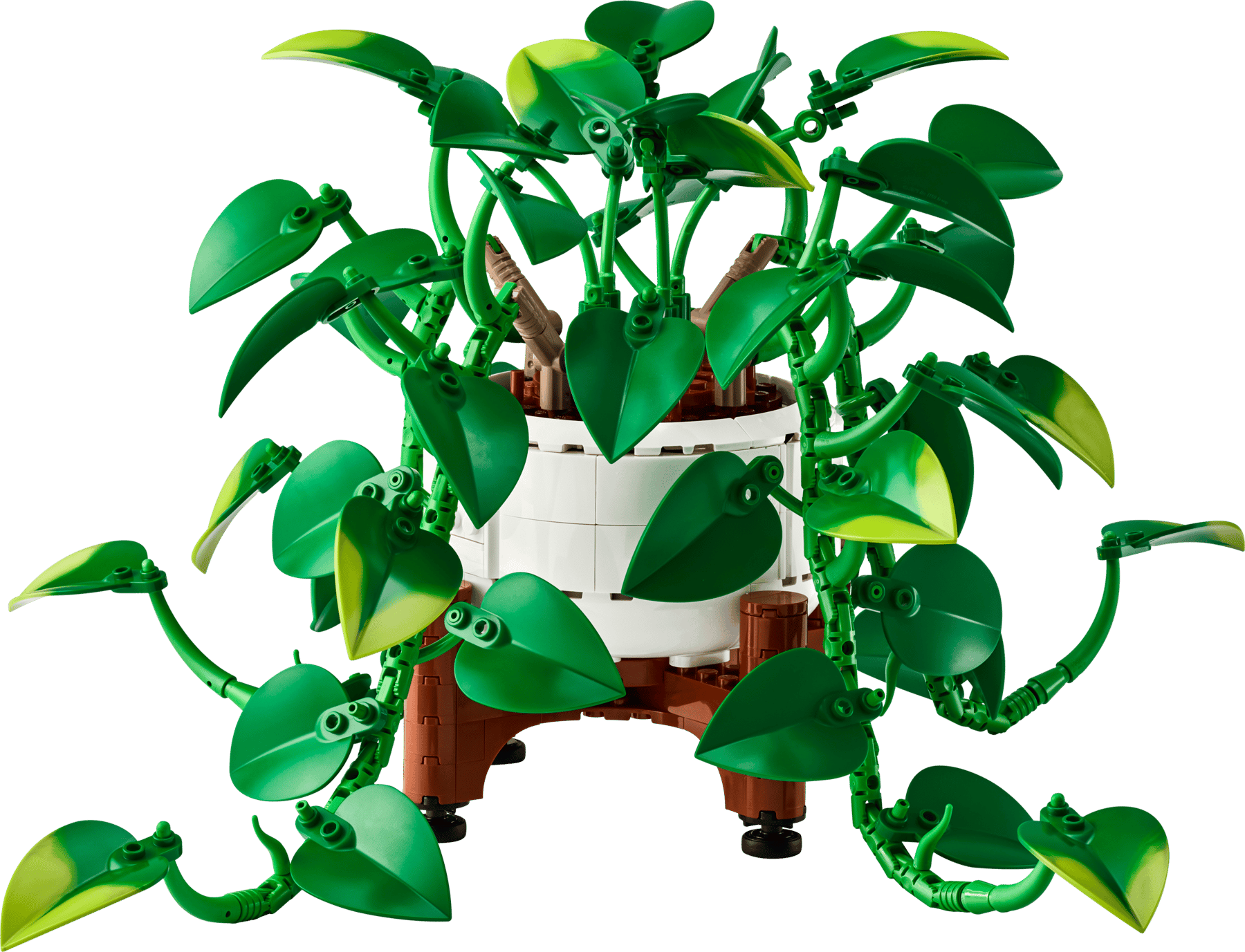 LEGO® Botanicals 11512 Závěsná šplhavnice zlatá
