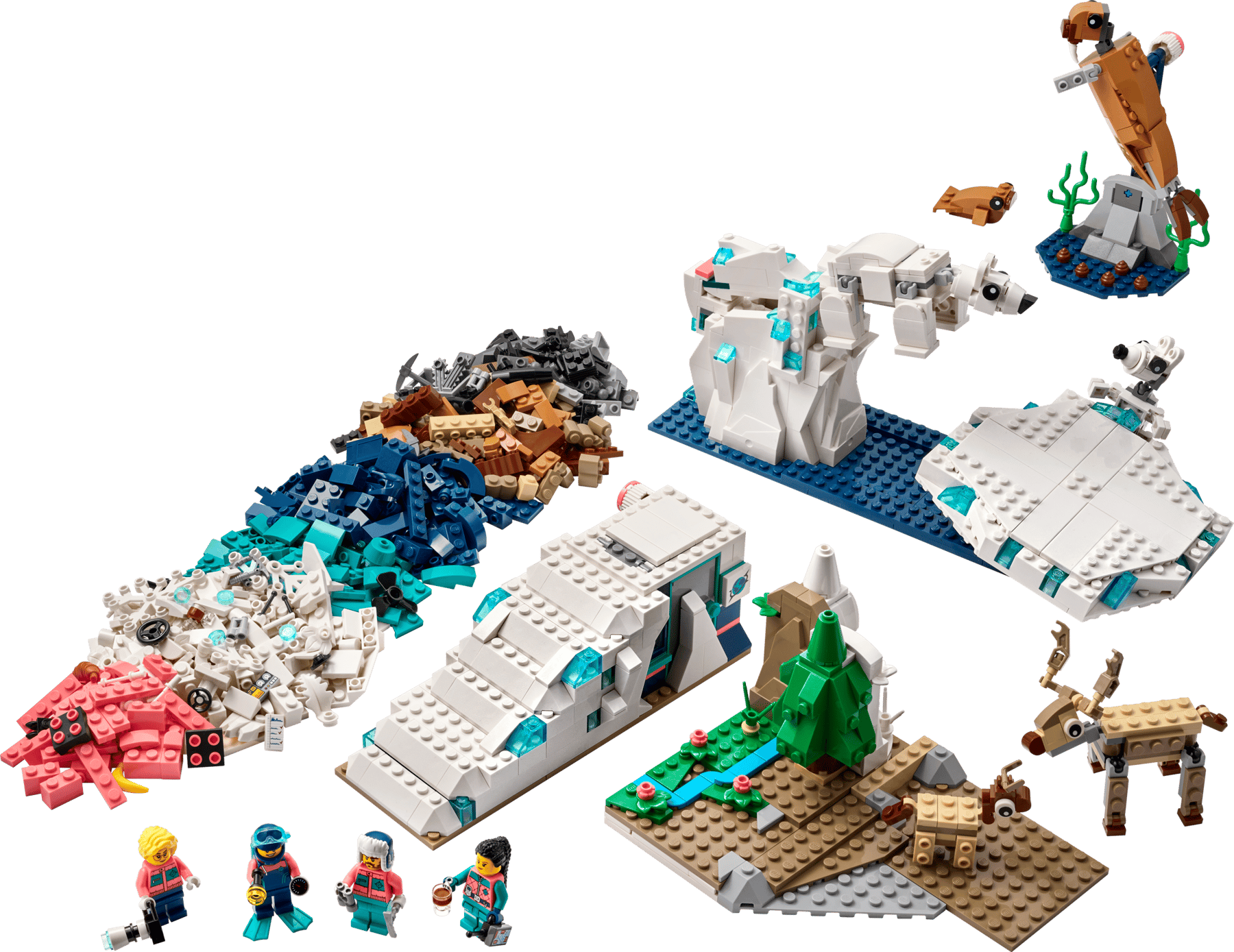 LEGO® Education 45203 Vědecká sada: Zvířata z Arktidy