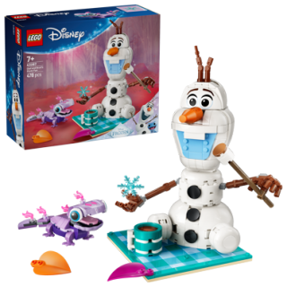 LEGO® | Disney Princess 43287 Olaf a Bruni na zábavném pikniku