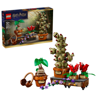 LEGO® HARRY POTTER™ 76474 Rostliny z hodiny bylinkářství