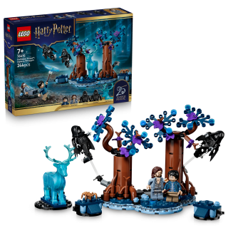 LEGO® HARRY POTTER™ 76475 Zapovězený les: Expecto Patr