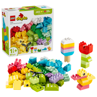 LEGO® DUPLO Classic 10479 Barevný kreativní box s kostkami